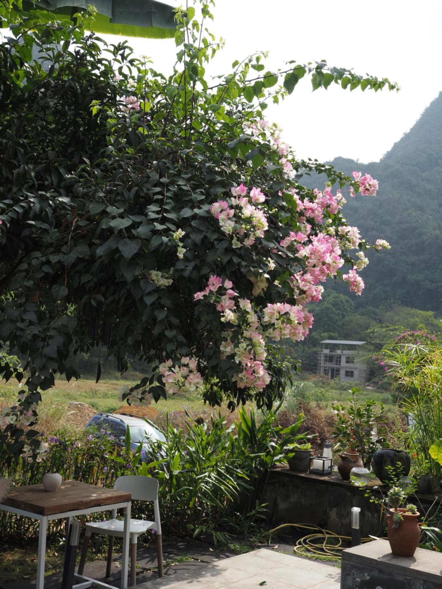 Yangshuo Hillside Homestay Extérieur photo