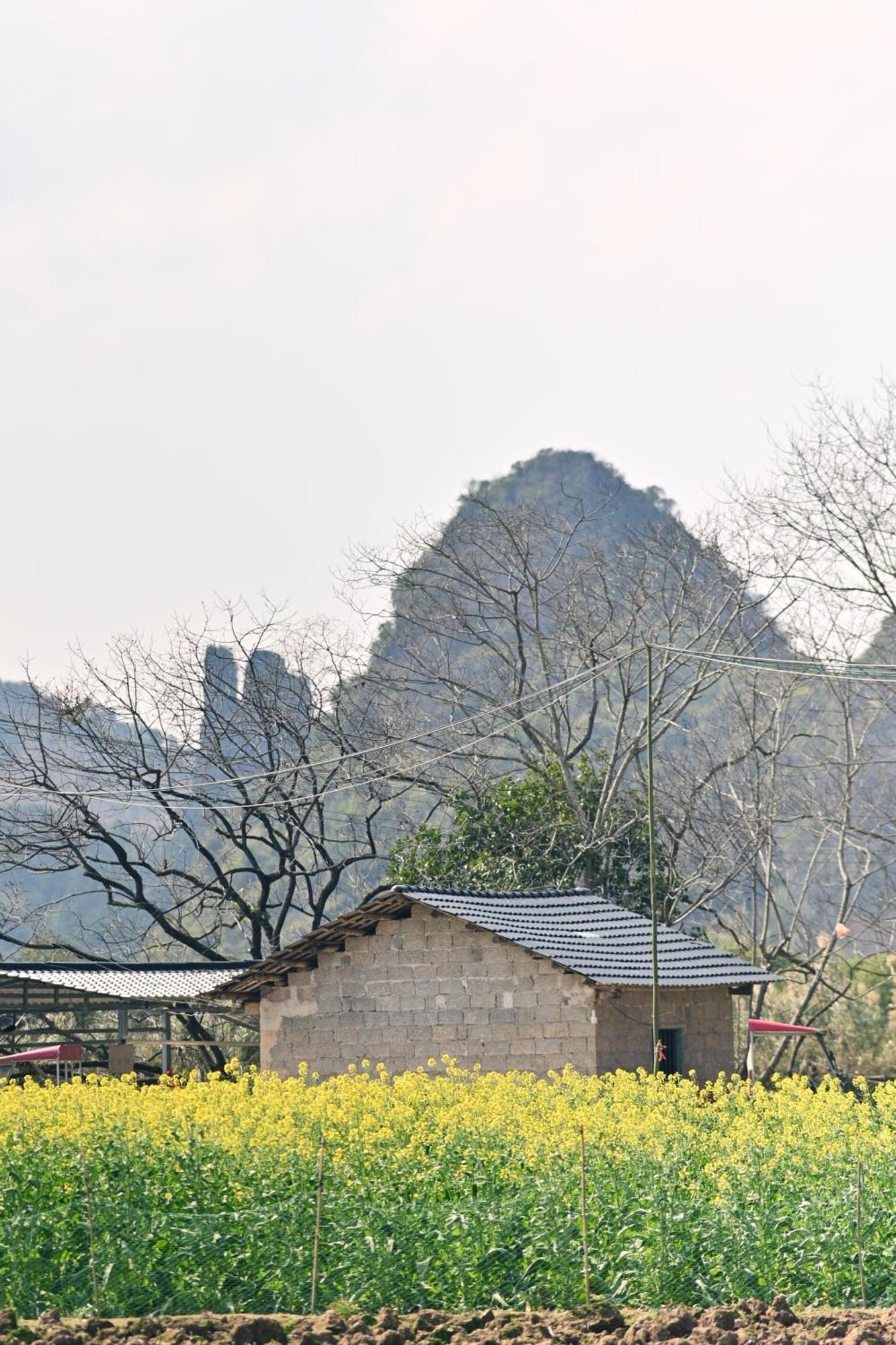 Yangshuo Hillside Homestay Extérieur photo